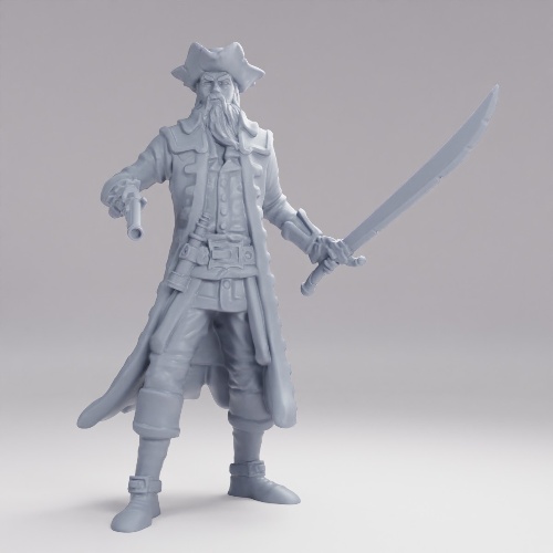 Picture of Pirate Captain Battle
