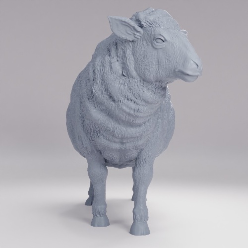 Picture of Sheep