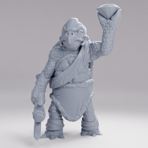 Picture of Turtle Folk Tribe Adventurer