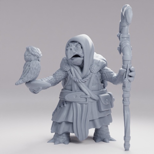 Picture of Turtle Folk Tribe Druid