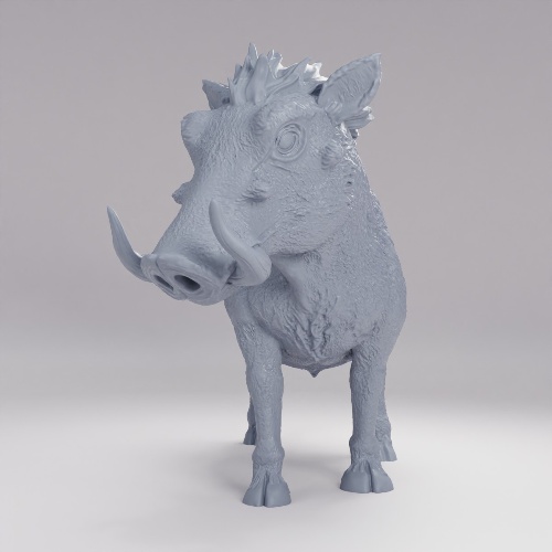 Picture of Warthog Attention