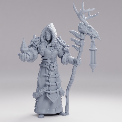 Picture of Winter Shaman Magic