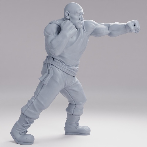 Picture of Human Brawler Alt B