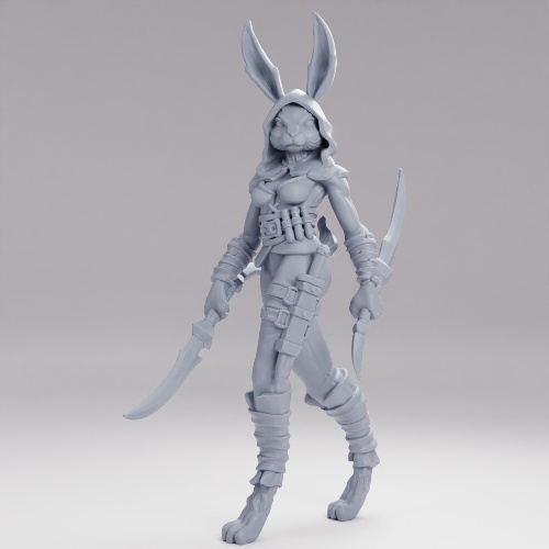 Picture of Harengon Rogue