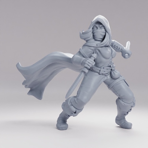 Picture of Rogue Human Two Daggers