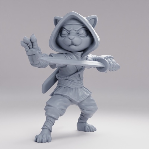 Picture of Ninja cat G