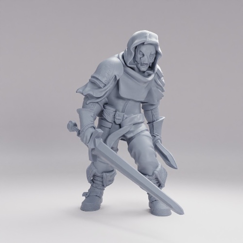 Picture of Assassin D