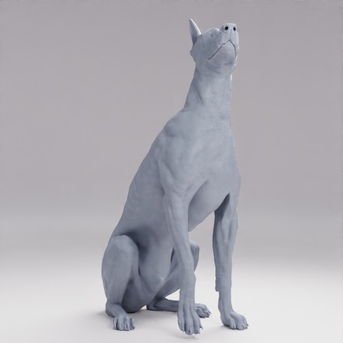 Picture of Doberman Sitting