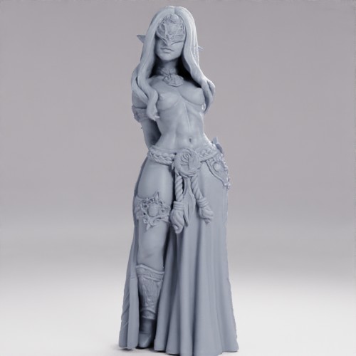 仮面のエルフの神託者 の画像