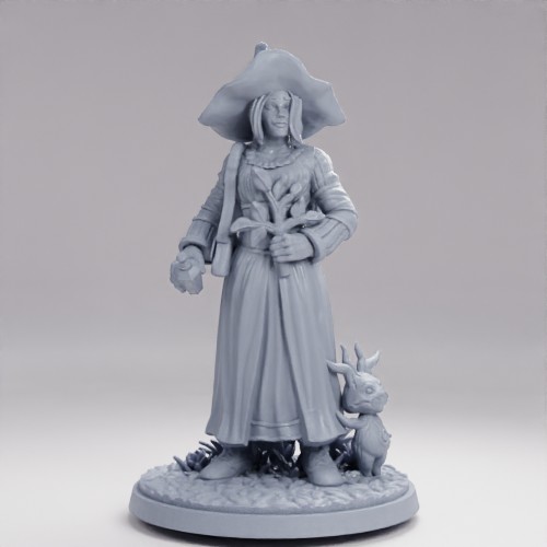 Picture of Circle of Petals Druid