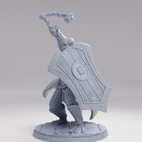 Picture of Duck Paladin