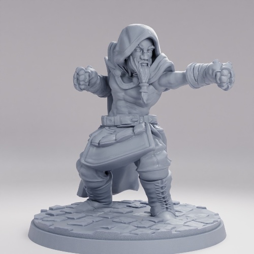 Picture of Dwarven Monk