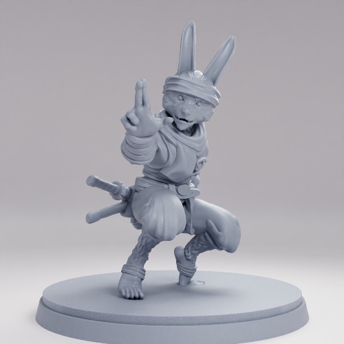 Picture of Harengon Ninja