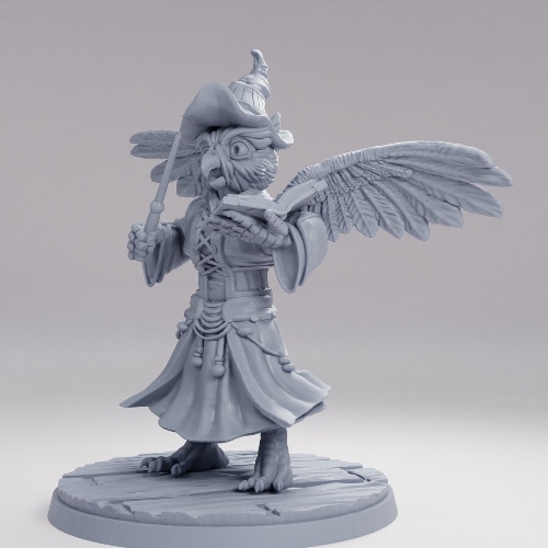 賢明なる翼の魔道士 の画像