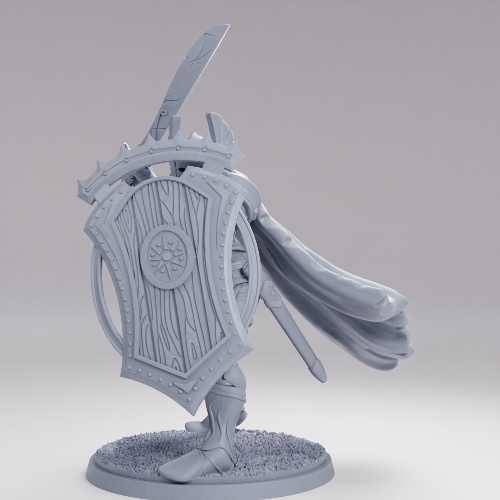 Picture of The Valkyrie
