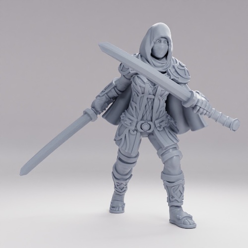 ハイエルフ・シャドウシスター・アサシン の画像
