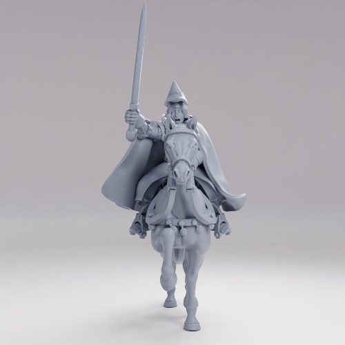Picture of Ordo Luminis Knight Captain