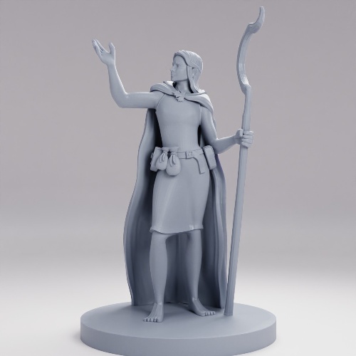 Picture of Druid Female