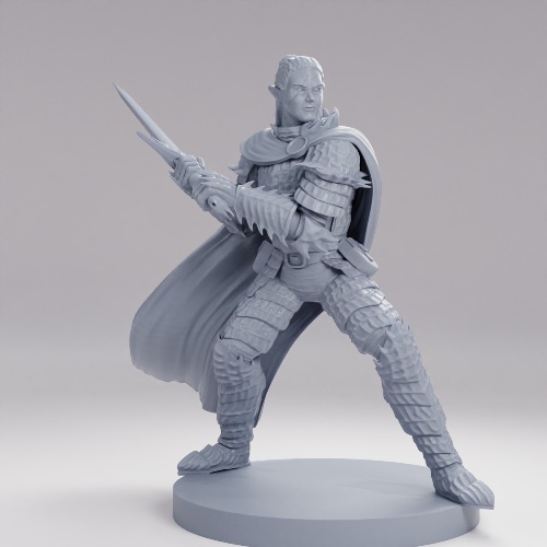Picture of Elf Male Fallen Paladin