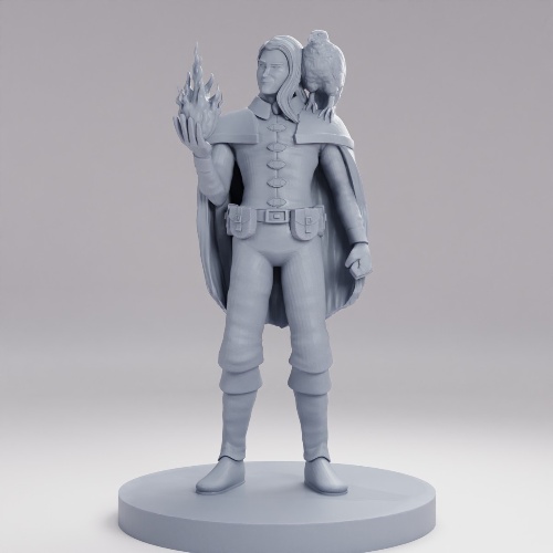 Picture of Elven Male Sorcerer with Hawk