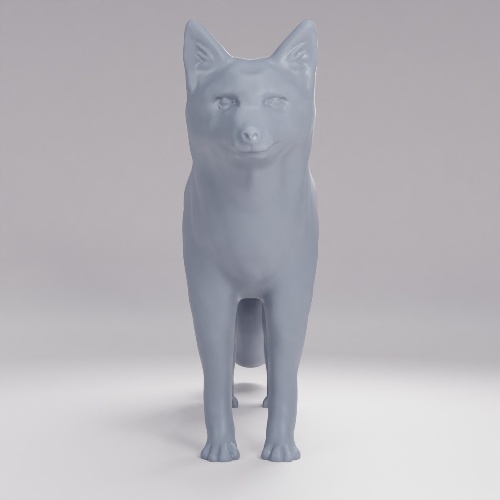 Picture of Fox_t