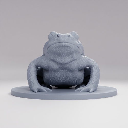 Picture of Giant Toad