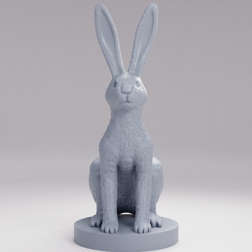Picture of Long Tail Jack Rabbit
