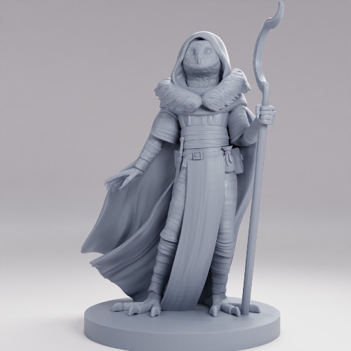 Picture of Owlfolk Male Druid