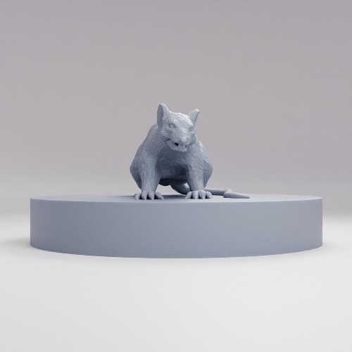 Picture of Rat