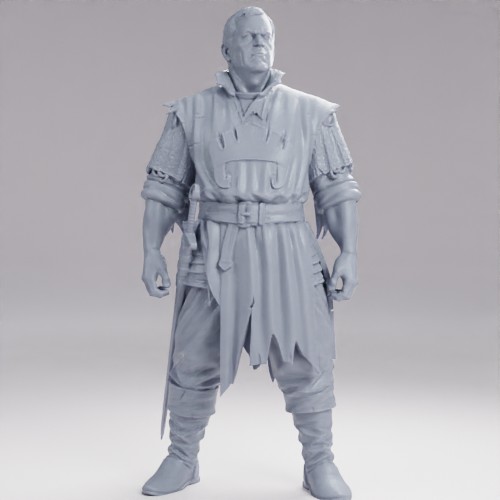 歴戦の騎士（ベテラン） の画像