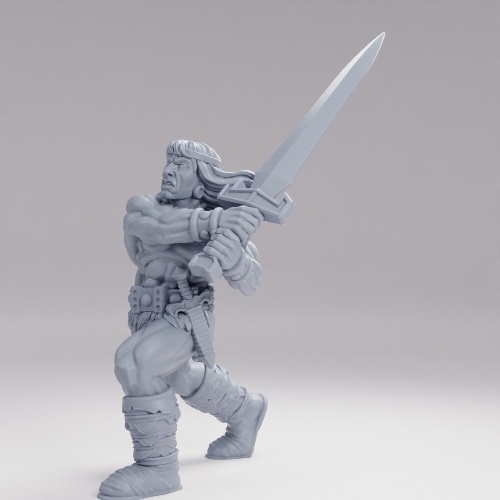 Picture of Barbarian D