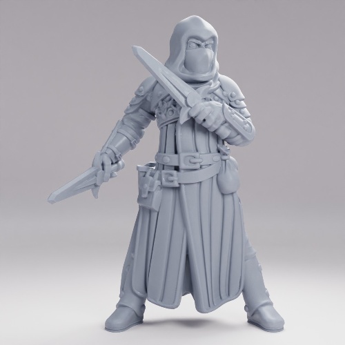 Picture of Adventurer Rogue