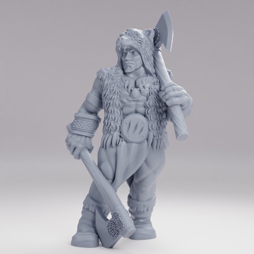 Picture of Bearseker Barbarian