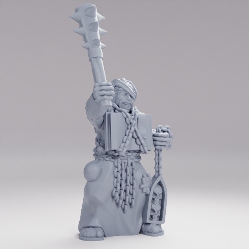Picture of Cultist With Book Armor
