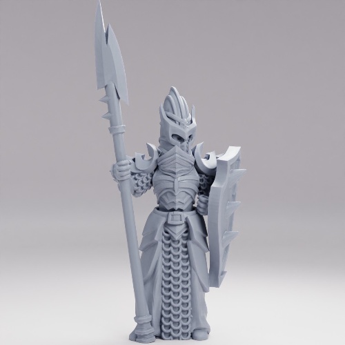 Picture of Dark Elf Guard