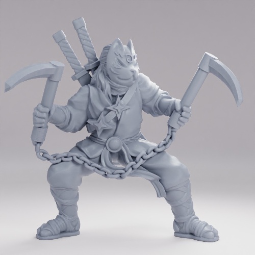Picture of Masked Ninja