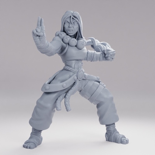 Picture of Monk Female Angry