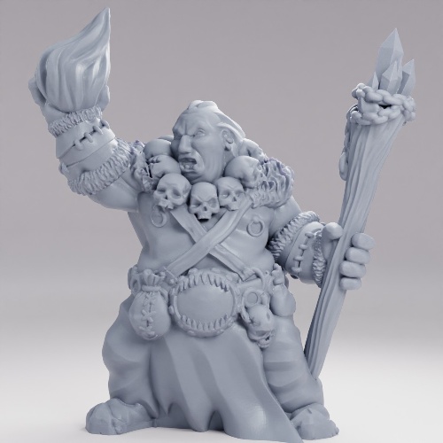 Picture of Ogre Shaman