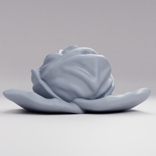 Picture of Cabbage
