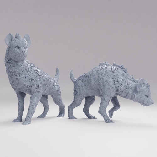 Picture of Hyena