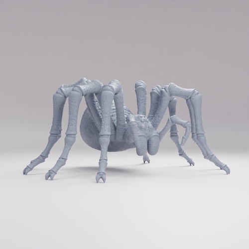 古代の洞窟タランチュラ の画像