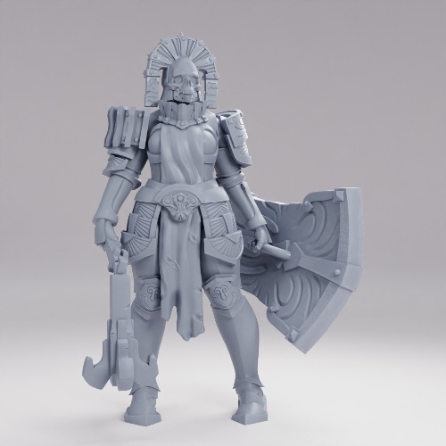 Picture of Cifer Paladin C