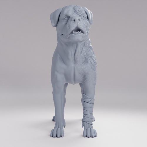 Picture of Rottweiller Damaged
