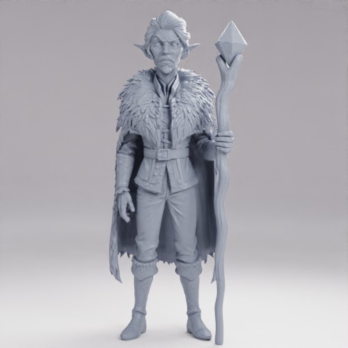 厳格なる大魔道士エリンドラ の画像