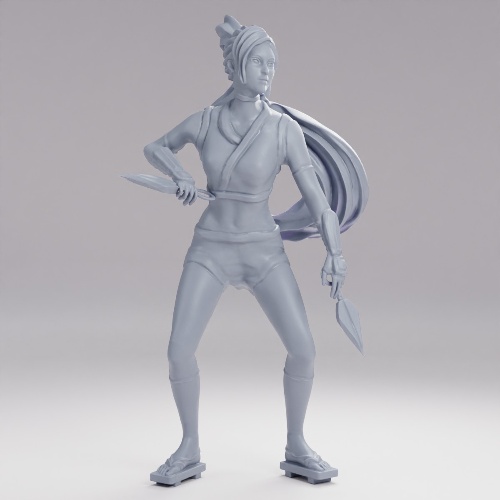 Picture of Ninja Girl