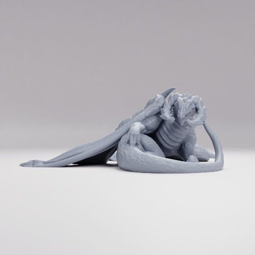 Picture of Black Dragon Adult Laying Down