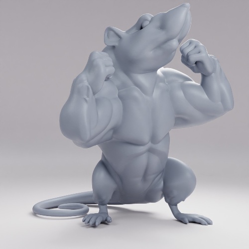 Picture of Gym Rat B
