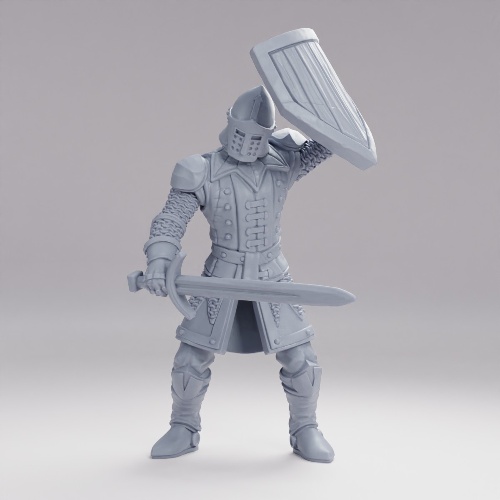 Picture of Castle Soldier A