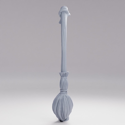 Picture of Enchanted Broom F