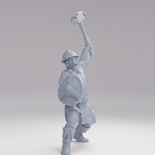 Picture of Hammer Shield Guard